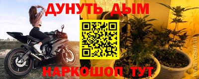 твердый Новодвинск