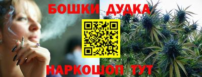 твердый Новодвинск
